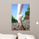 En Pointe Track