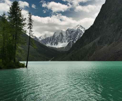 Turquoise Lake Wall Decal