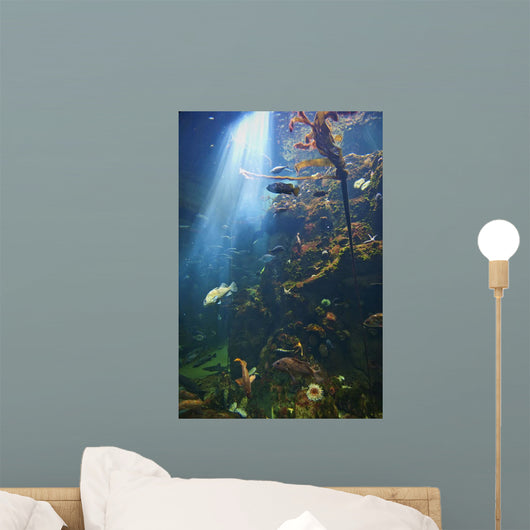 View Of Fish In An Aquarium In The San Francisco Academy Of Science Wall Mural