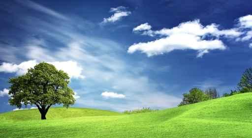 Green Landscape Wall Decal Design 1