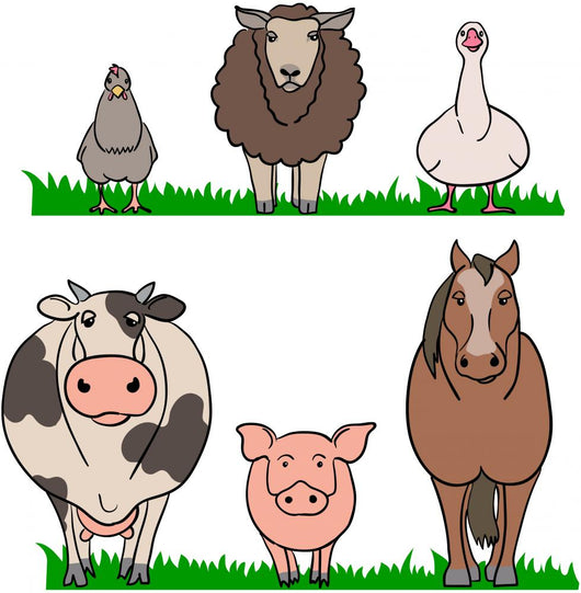 Farm Animals Wall Decal