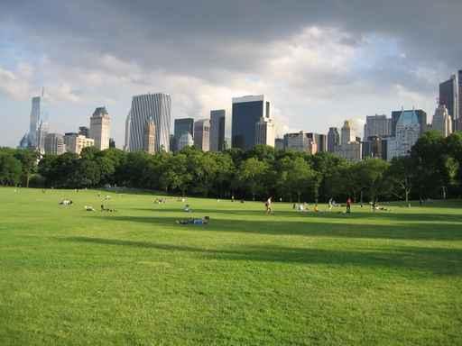 Central Park Wall Decal