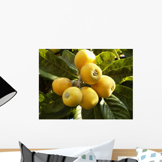 Medlar on the tree Wall Mural