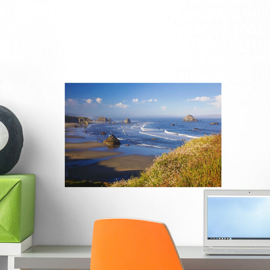 Wildflowers And Rock Formations Along The Coast At Bandon State Park Wall Mural