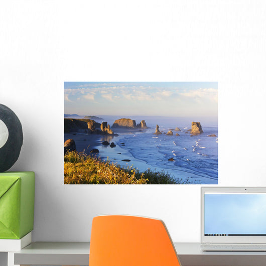 Fog Covers Rock Formations Along The Coast At Bandon State Park Wall Mural