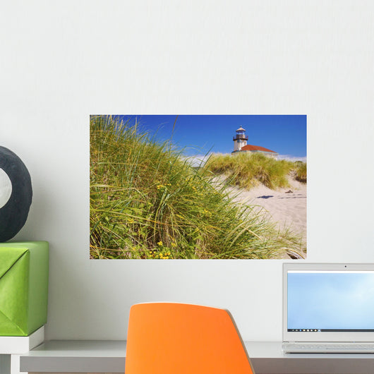 Coquille River Lighthouse Wall Mural