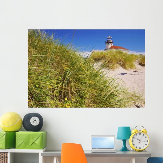 Coquille River Lighthouse Wall Mural