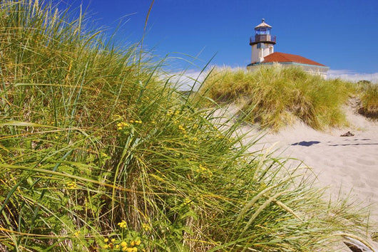 Coquille River Lighthouse Wall Mural