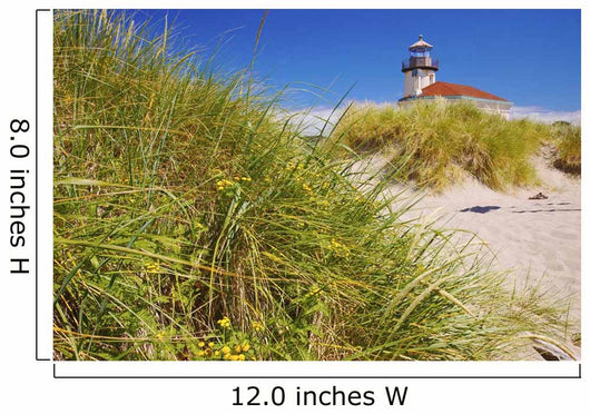 Coquille River Lighthouse Wall Mural