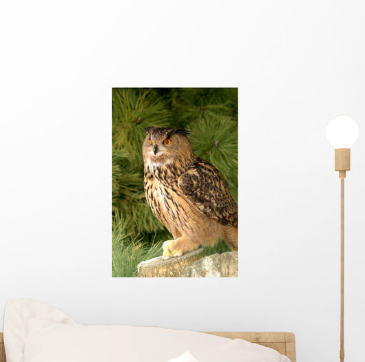 Eagle Owl With Prey Wall Mural