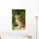 Eagle Owl With Prey Wall Mural