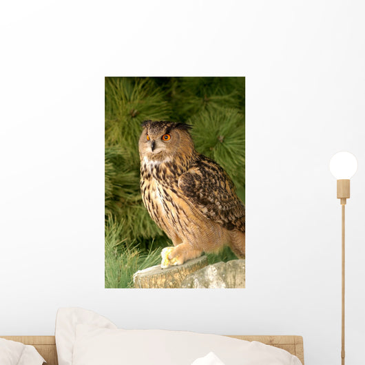 Eagle Owl With Prey Wall Mural