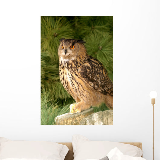 Eagle Owl With Prey Wall Mural
