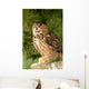 Eagle Owl With Prey Wall Mural