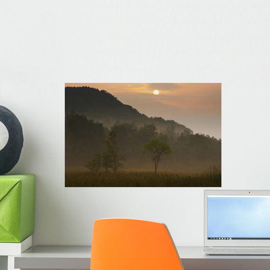 Sunrise And The Early Morning Fog Wall Mural