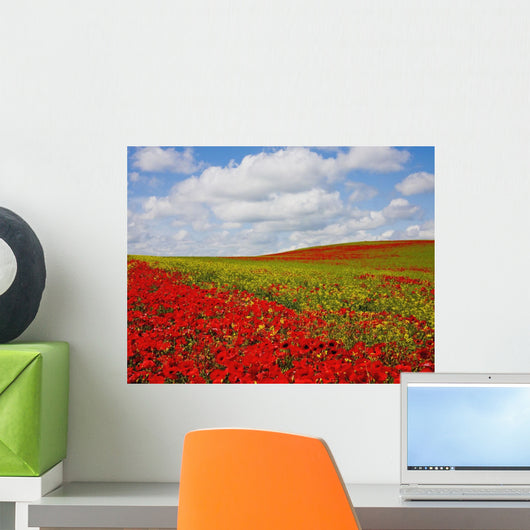 An Abundance Of Red Poppies In A Field Wall Mural