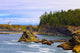 Cape Arago Lighthouse At Shore Acres State Park At Coos Bay Wall Mural