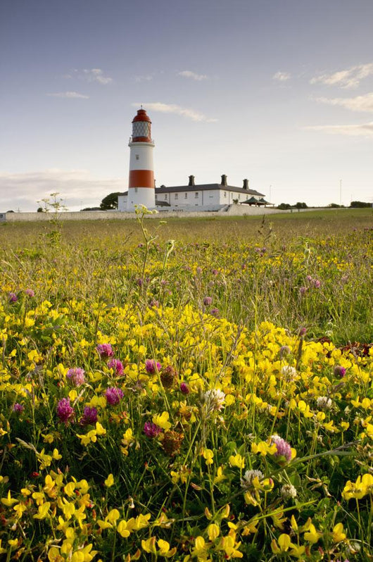 Souter Lighthouse Wall Mural