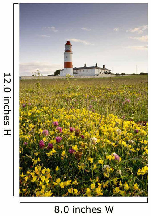 Souter Lighthouse Wall Mural
