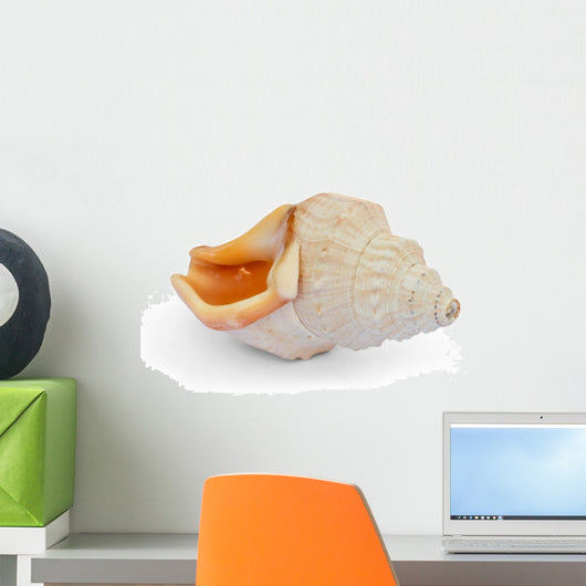 Shell