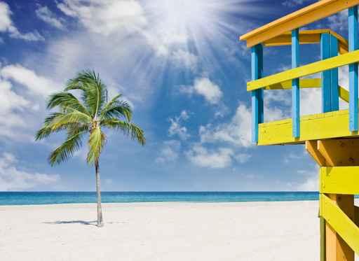 Tropical Beach with Lifeguard Wall Decal