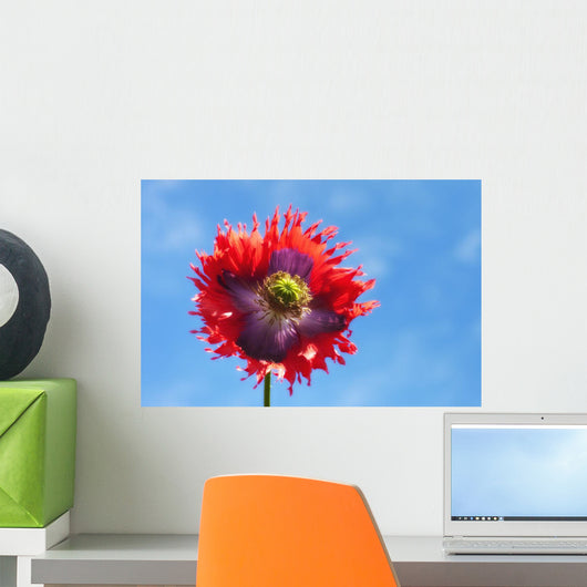 A Colorful Flower With Red And Purple Petals Against A Blue Sky Wall Mural