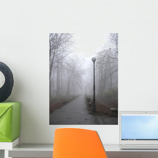 park lane in the fog Wall Mural