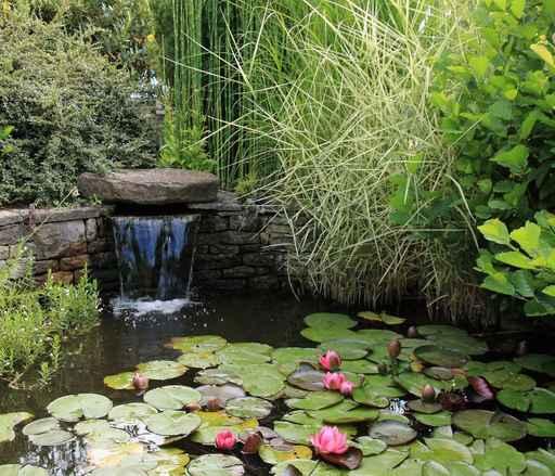 From Garden Basin Wall Decal