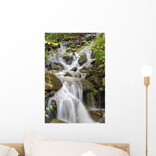 Small Waterfalls And Brook Wall Mural