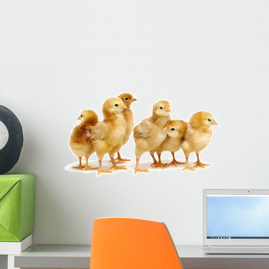 Six Chickens Baby Chicks Wall Decal