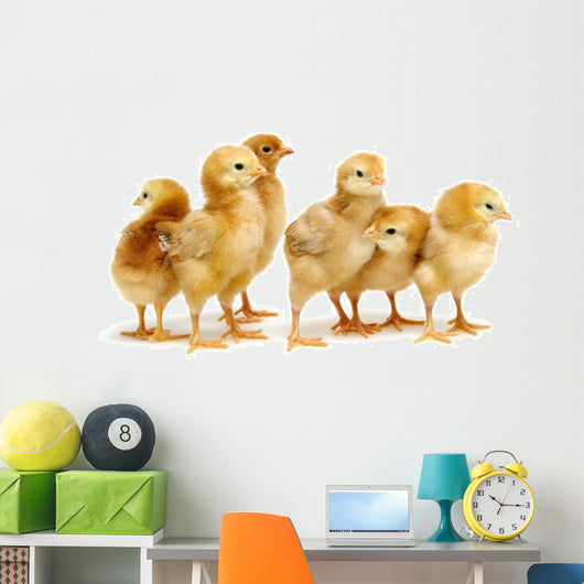 Six Chickens Baby Chicks Wall Decal