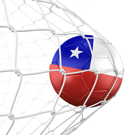 Soccerball in net Wall Decal