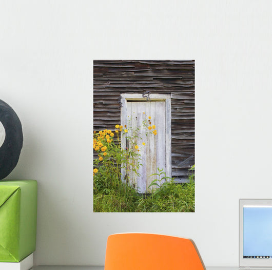 Door To An Old Shed With Wildflowers Growing Outside Wall Mural