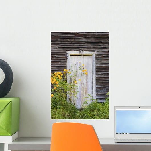 Door To An Old Shed With Wildflowers Growing Outside Wall Mural