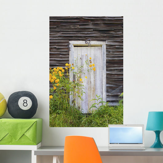 Door To An Old Shed With Wildflowers Growing Outside Wall Mural