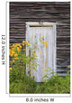 Door To An Old Shed With Wildflowers Growing Outside Wall Mural