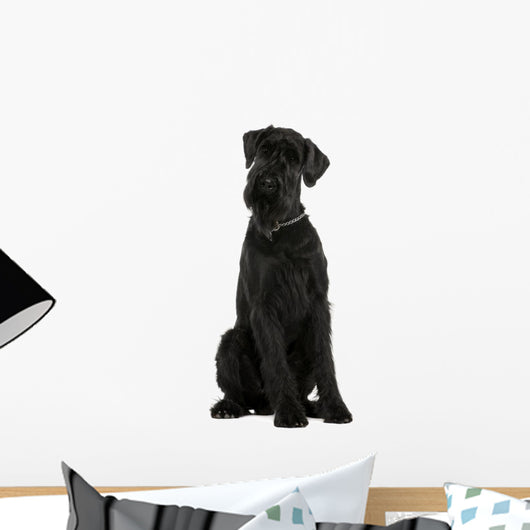 Giant Schnauzer Dog Wall Decal