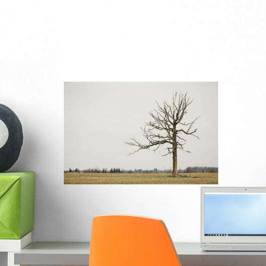 A Lone Tree In A Field Wall Mural