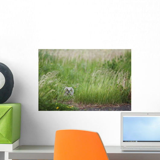 Great Horned Owl In The Grass Wall Mural
