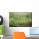 Great Horned Owl In The Grass Wall Mural