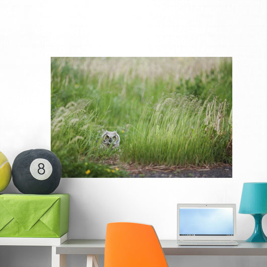 Great Horned Owl In The Grass Wall Mural