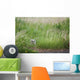Great Horned Owl In The Grass Wall Mural