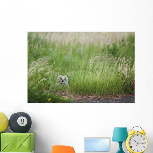 Great Horned Owl In The Grass Wall Mural