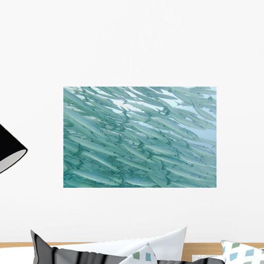 A School Of Barracudas Swimming Underwater Wall Mural