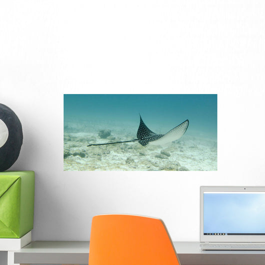 A Spotted Eagle Ray Under The Water Wall Mural