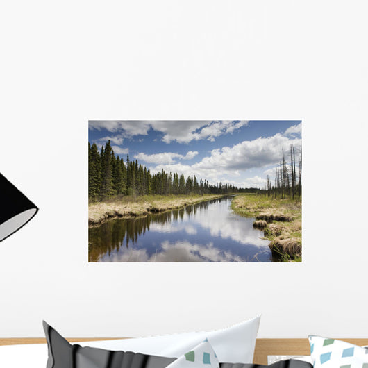 Clouds Reflected In A Tranquil River Lined With Trees Wall Mural