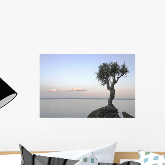 A Lone Tree On Lake Superior Wall Mural