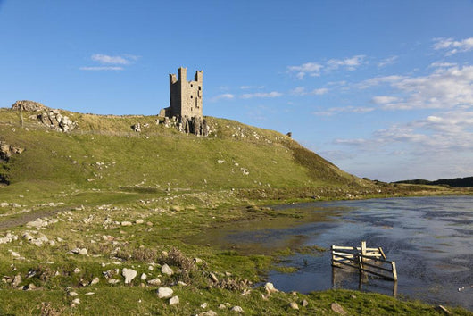 Dunstanburgh Castle Wall Mural