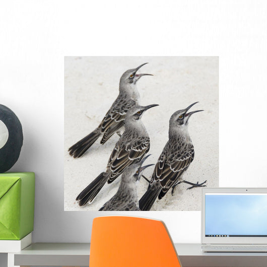 Mockingbirds Wall Mural