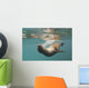 A Sea Lion Swimming Under The Water's Surface Wall Mural